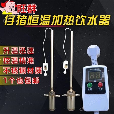 仔猪恒温加热饮水器保育猪小猪母猪产床自动恒温自动加热热水器