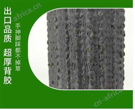 福建福州鑫佰幼儿园仿真人造草坪5cm加厚秋草中厚背胶