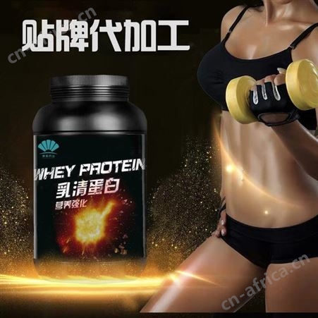 中老年钙铁锌营养蛋白质粉oem 猴头菇大豆蛋贴牌代加工
