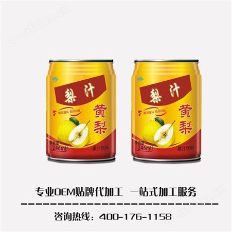 名启 综合罐装果汁oem贴牌代加工  易拉罐水果口味饮料  配方定制 包装定制