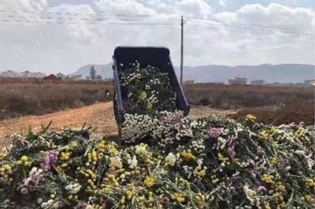 废标签销毁 复合材料销毁 宁波废聚氨酯销毁