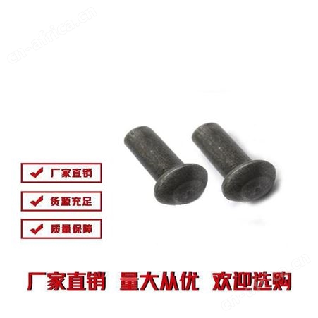 销轴铆钉厂家 雄杰紧固件 支持定制 精选 批发