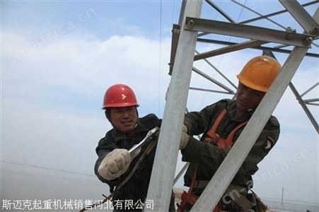 斯迈克塔吊防坠器厂家 塔吊司机防坠器安全防护