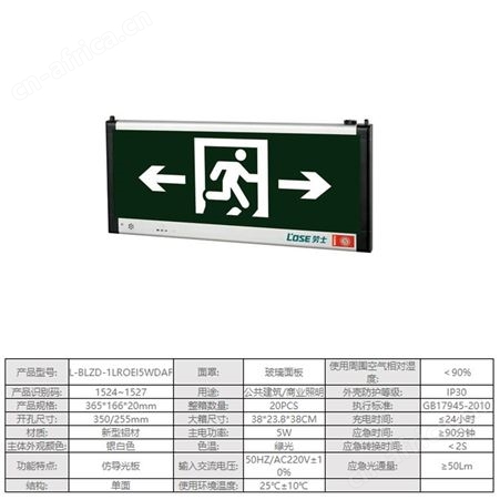 劳士应急灯电池仿导光板AC220V安全地标识单和双面铝材双向标志灯L-BLZD-2LROEI5WDAE-AF
