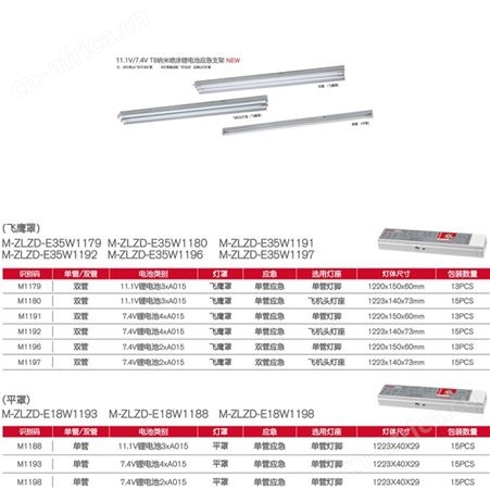 敏华电工劳士拿斯特A型新国标led应急照明集中电源多款可选中号锂电池应急电源