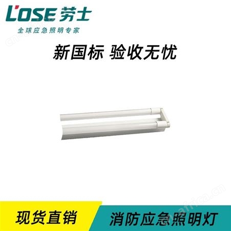 劳士DC36V智能A型应急灯具配件组合式加镍镉电池T8LED双管支架L-ZLZD-E35W1240