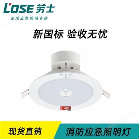 劳士集中型消防智能照明PC防火塑料微波雷达感应简约5寸应急筒灯L-ZLZD-E12W1257