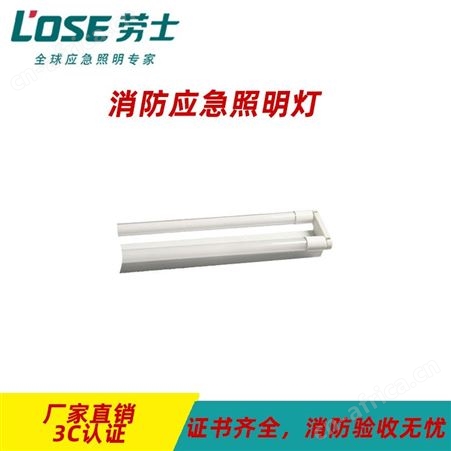 劳士DC36V智能A型应急灯具配件组合式加镍镉电池T8LED双管支架L-ZLZD-E35W1240