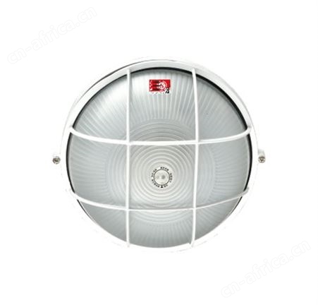敏华电工智能疏散系统led灯应急照明IP54圆形带强启三防灯N-ZLZD-E20W1925