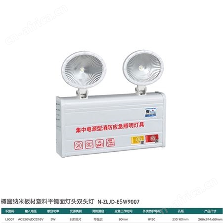 劳士6S光世界自控制型灯具AC220V-DC216V椭圆纳米板材塑料平镜面双头猫眼应急照明灯N-ZLJD-E5W9007