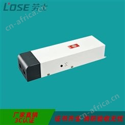 劳士智慧消防系统适配18W非阻容降压灯具6V-4Ah整体式铅酸电池应急电源N-ZLZD-E18W1342