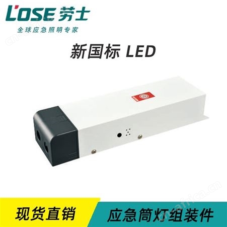 劳士智慧消防系统适配18W非阻容降压灯具6V-4Ah整体式铅酸电池应急电源N-ZLZD-E18W1342