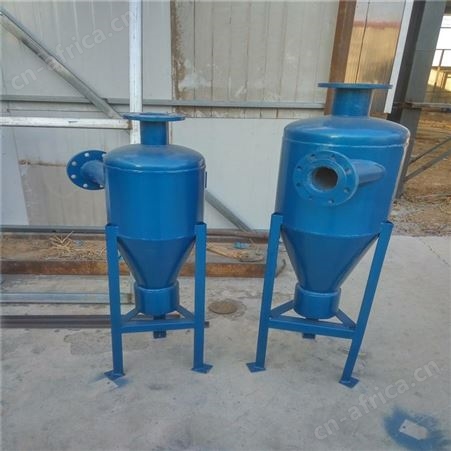 德州 远湖定制不锈钢旋流除污器 立式旋流除污器  DN100