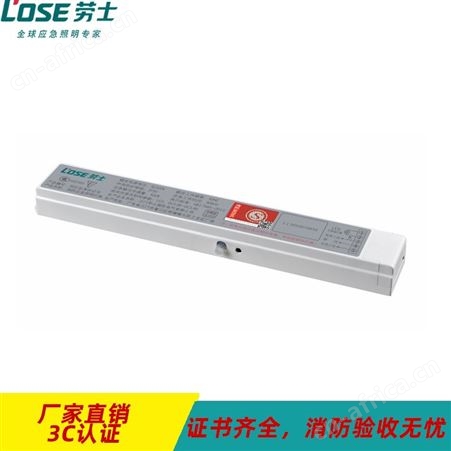 劳士敏华电工多款可选智能照明控系统适配HYJ-001光源灯具7.4V大号锂电池应急电源L-ZLZD-E50W1290