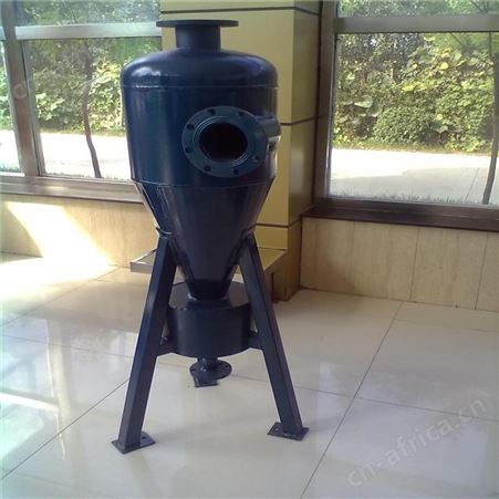 德州 远湖定制不锈钢旋流除污器 立式旋流除污器  DN100