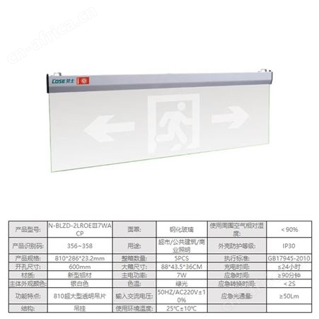 劳士敏华电工自电疏散通道810超大型钢化玻璃吊片LED双向标志应急灯N-BLZD-2LROEⅢ7WACP