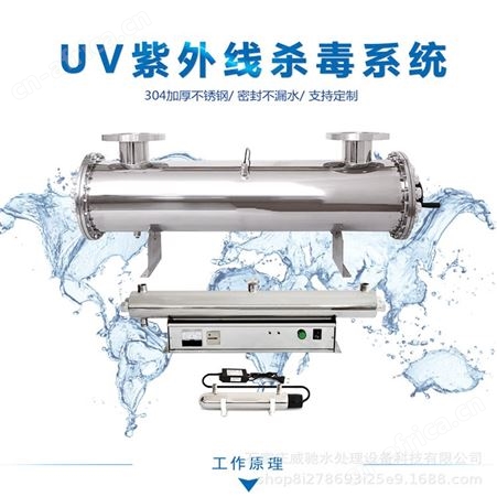 明渠式紫外线消毒器 框架式紫外线消毒器模块 远湖厂家直供 紫外线消毒器 品质可靠 紫外线杀菌器