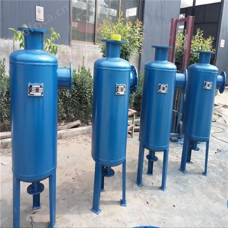 德州 远湖定制不锈钢旋流除污器 立式旋流除污器  DN100