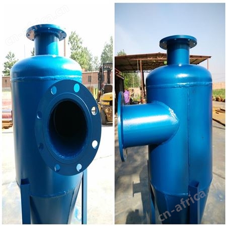 德州 远湖定制不锈钢旋流除污器 立式旋流除污器  DN100
