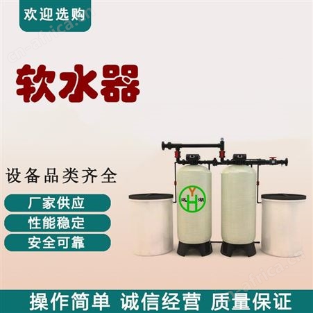 成都远湖 软化水处理器工业软化水设备 全自动工业钠离子交换设备