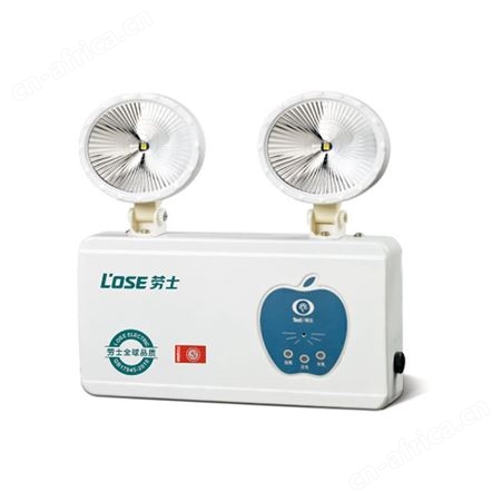 劳士knx智能照明控制系统应急苹果椭圆铁头节能经济双头灯L-ZFZD-E5W1203