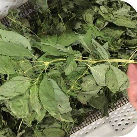 【镧泰】樱花烘干机樱花微波烘干机樱花冻干机樱花低温烘干机 能耗较传统低一半 保留原色营养 批次加工效率高 上海厂家