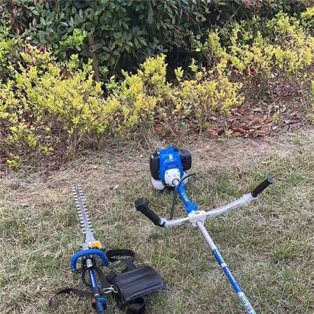 小型修剪机公园剪树枝小型工具