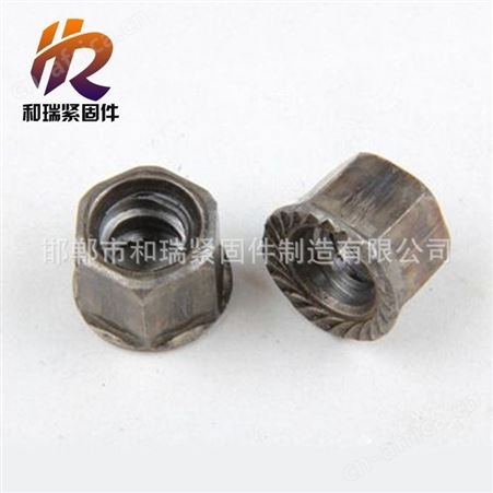和瑞紧固件现货 粗牙螺母 量大价低   梯型扣螺母