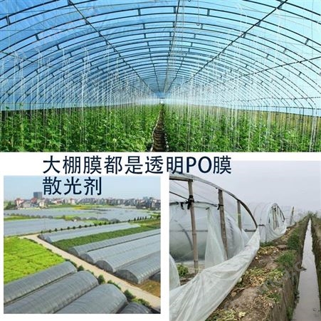 深圳光散射农膜专用散光粉 高透光高保温增温快大棚膜散光粉厂家免费寄样
