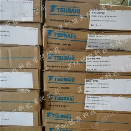 椿本免加油小型输送链空心销RS型链条 管链输送机链条 工业输送链条 食品机械可用