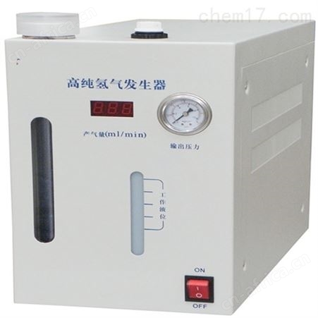 全自动氢气发生器，气源厂家
