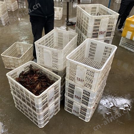 潜江小龙虾3月30日青虾红虾各种规格价格行情50斤起批发全国各地