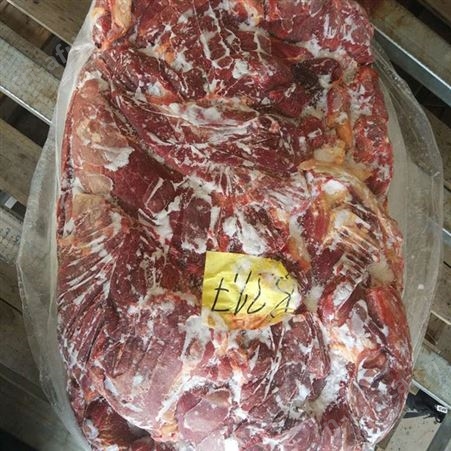 养殖基地批发马匹新鲜前腿肉质鲜美营养丰富 伊犁马现杀冷冻