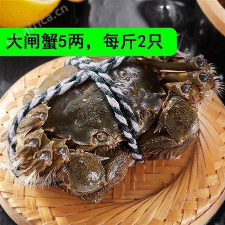 楚淼水产大量批发_鲜活大闸蟹/清水大闸蟹_5两规格公蟹/母蟹_供应餐馆/夜宵档口