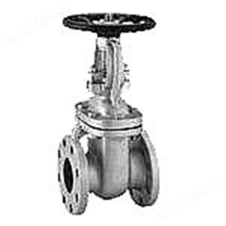 VTON进口不锈钢闸阀