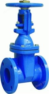 VTON进口软密封闸阀