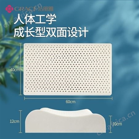 洁丽雅 乳胶枕 波浪枕 商务礼品 随手礼 员工礼品定制