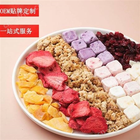 酸奶水果燕麦脆 可贴牌可代理可一件代发