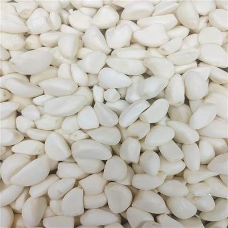 新鲜小香葱段 速冻葱圈段 优质果蔬食品加工 绿拓食品