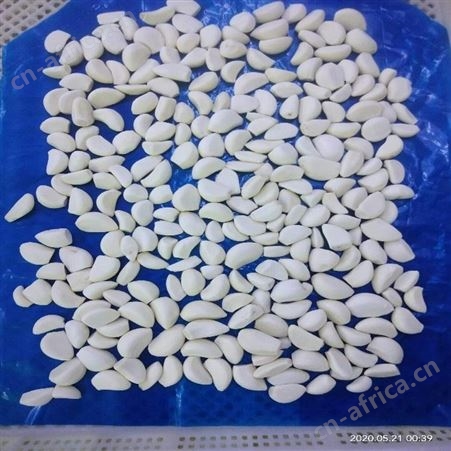 绿拓食品去皮新鲜蒜瓣 无公害可腌制糖醋开袋即食