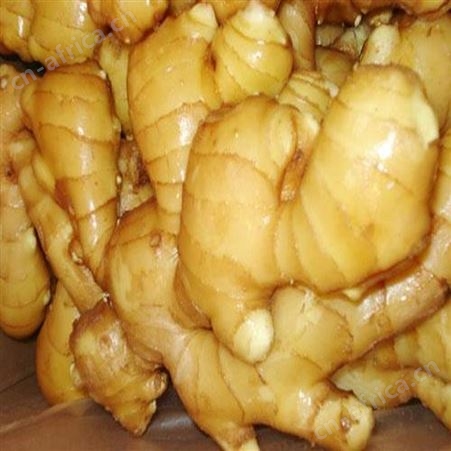 厂家供应即食姜片 新鲜速冻姜片 开袋即食日照绿拓食品