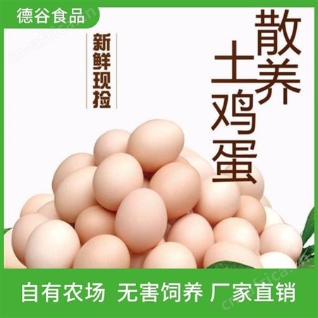 草鸡蛋供应商_德谷食品_虫草鸡蛋_颗颗精选