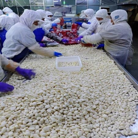 绿拓加工处理成品速冻蒜块 烹饪调味即用蒜米供应