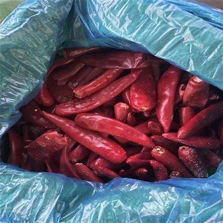 绿拓食品常年供应干辣椒 调味爆锅香料红辣椒味道好