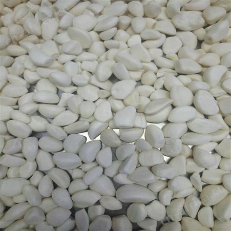 绿拓食品配料调味速冻蒜泥丁开袋即用 *