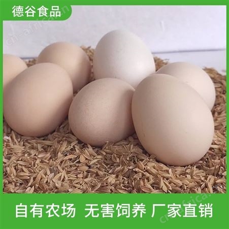 草鸡蛋供应商_德谷食品_虫草鸡蛋_颗颗精选