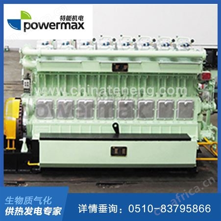 300系列垃圾填埋气发电机组