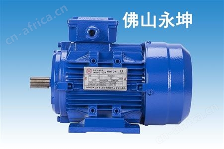 电机厂生产双电容单相电机YL7112-0.25KW 2800转 安装B3 B5 B35