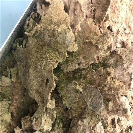 猪油动物油熔炼设备 天圆油脂 节能型动物油熔炼设备 环保节能