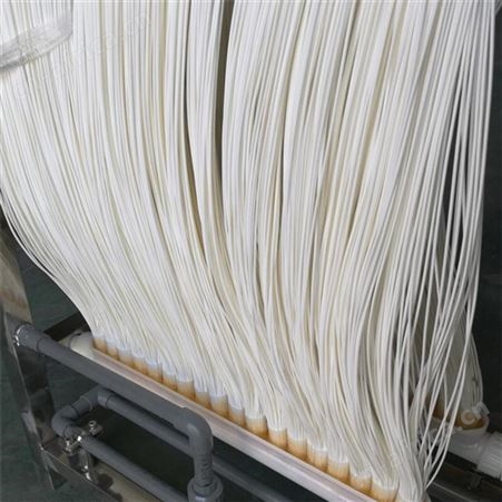 哈尔滨mbr中空纤维膜mbr帘式模片组件污水处理超滤膜